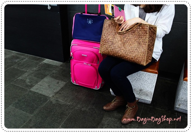 Travel Partition Bag กระเป๋าจัดหมวดหมู่สิ่งของในกระเป๋าเดินทาง