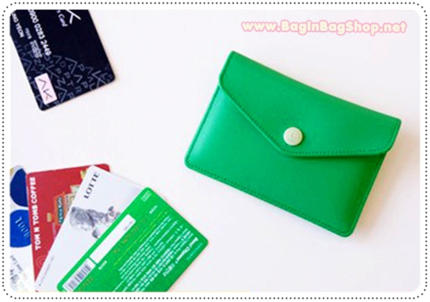Rainbow Card Case