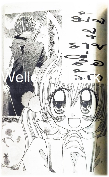 ค้างคาวฟันหลอ เล่มเดียวจบ