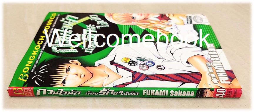 กวนใจนักต้องรักซะให้เข็ด เล่มเดียวจบ ~FUKAMI Sakana~