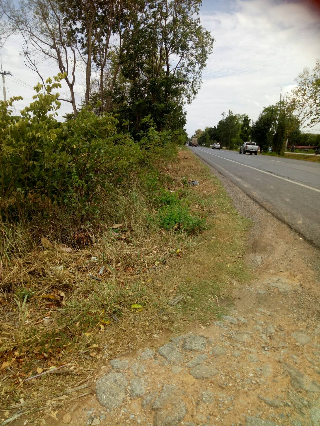 ขาย-ที่ดินเปล่า จำนวน2500ไร่ ถ กบินทร์บุรี-ปักธงชัย(304)ต.งิ้ว อ.ปักธงชัย จ.นครราชสีมา