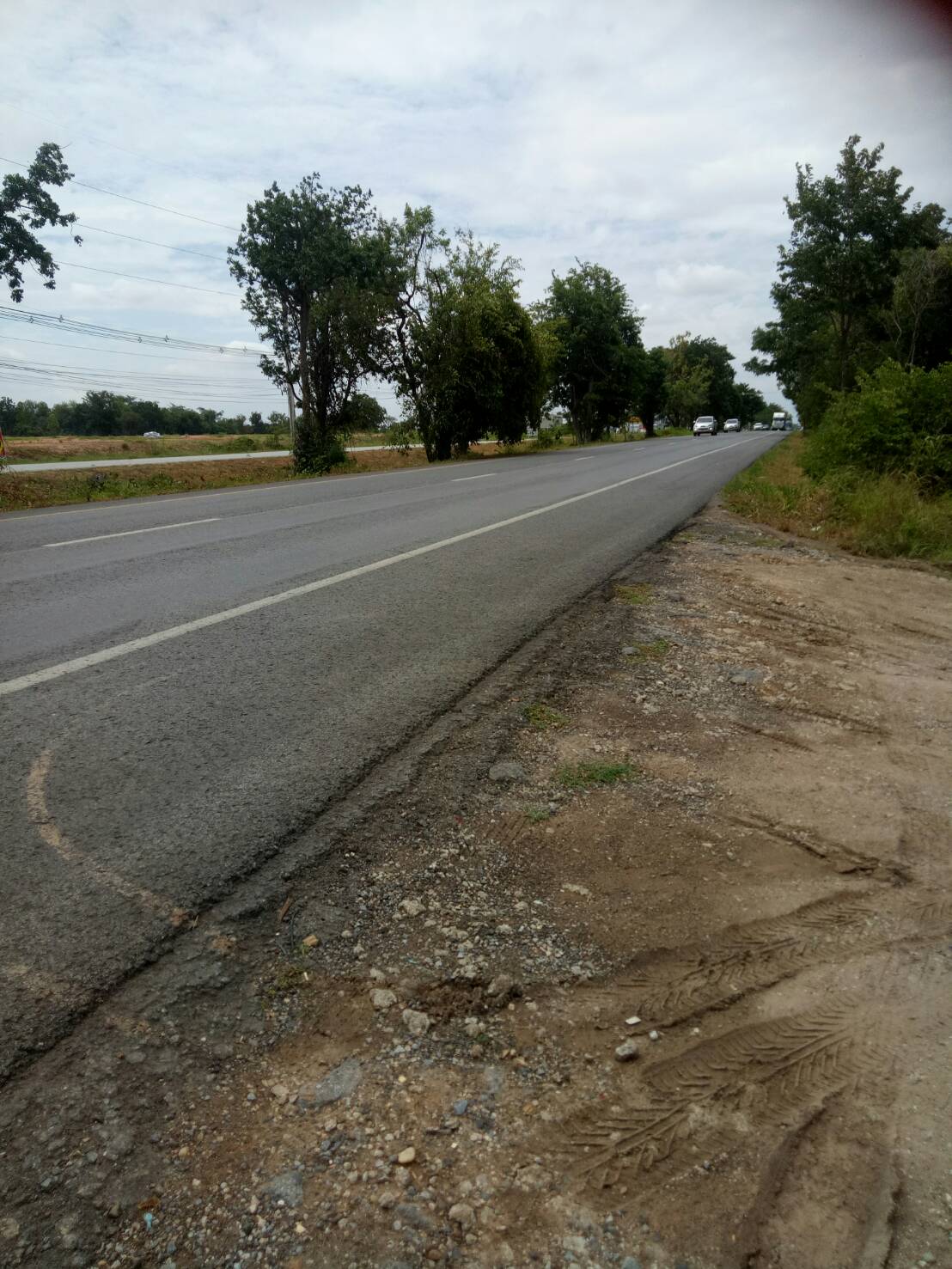 ขาย-ที่ดินเปล่า จำนวน2500ไร่ ถ กบินทร์บุรี-ปักธงชัย(304)ต.งิ้ว อ.ปักธงชัย จ.นครราชสีมา