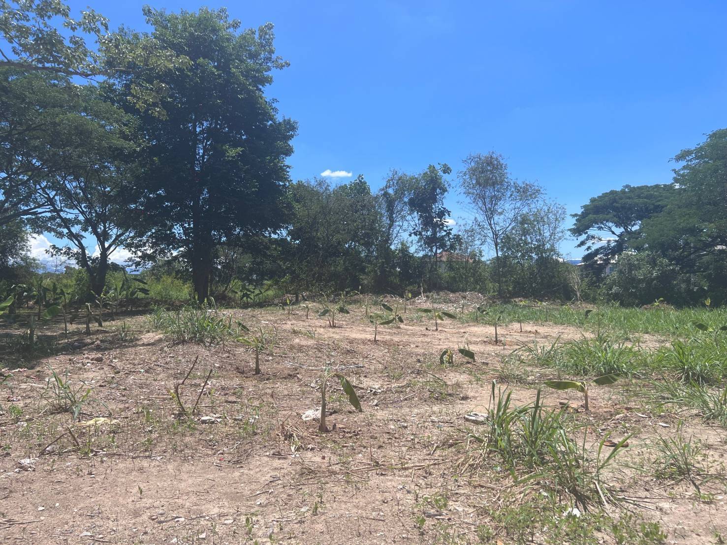 ขายที่ดินเปล่าพื้นที่ 2ไร่ 3งาน58 ตรว. ตำบลหนองจ๊อม อำเภอสันทราย จังหวัดเชียงใหม่