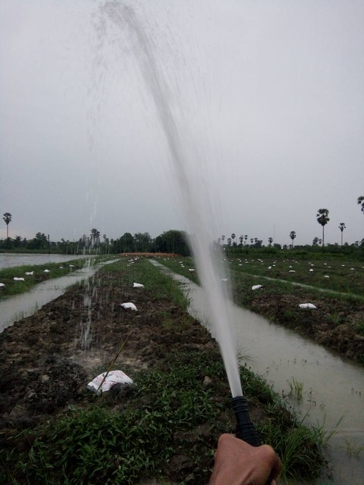 งานออกแบบติดตั้งระบบควบคุมการรดน้ำ