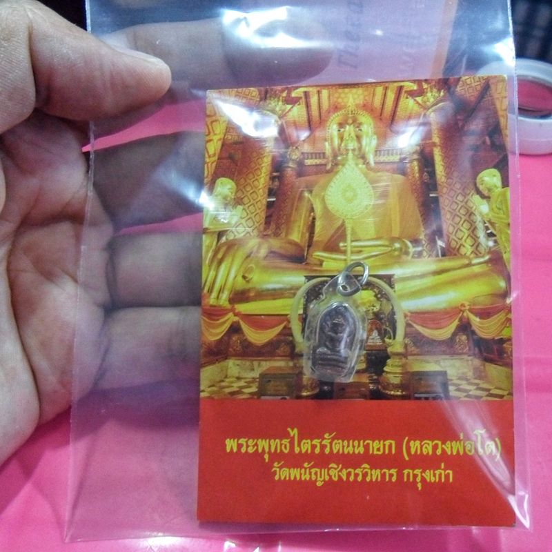พระนาคปรกใบมะขาม วัดพนัญเชิง จ.อยุธยา ปี 2538 เลี่ยมกรอบกันน้ำ พร้อมรูปหลวงพ่อโต