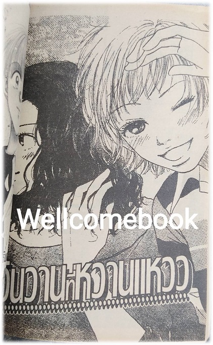 ขอรักเธอแบบลับๆ เล่มเดียวจบ