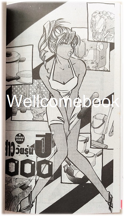 คู่รัก บ้าหลุดโลก เล่มเดียวจบ ~Ogoshi Natsue~