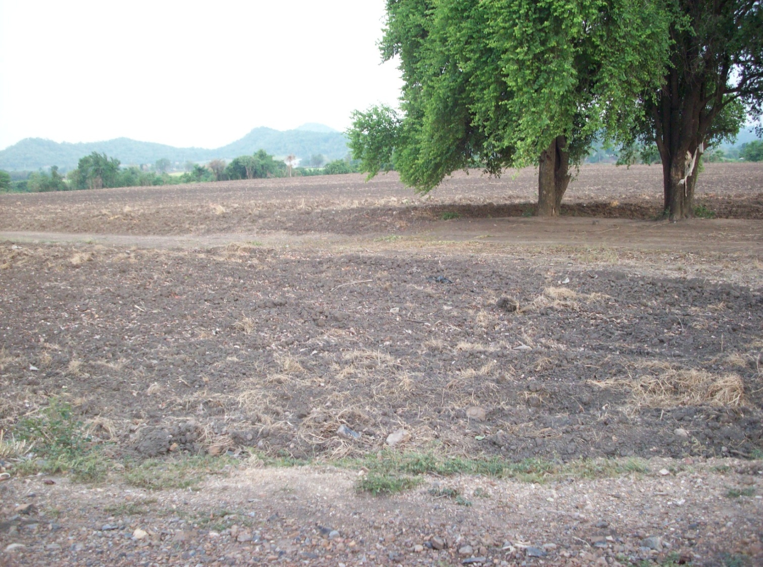 ขาย-ที่ดินเปล่า 300 ไร่ แปลงใหญ่ เจ้าของเดียว ตำบลหินซ้อน อำเภอแก่งคอย จังหวัดสระบุรี