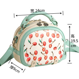 กระเป๋าทรงกลม ถือ / สะพาย