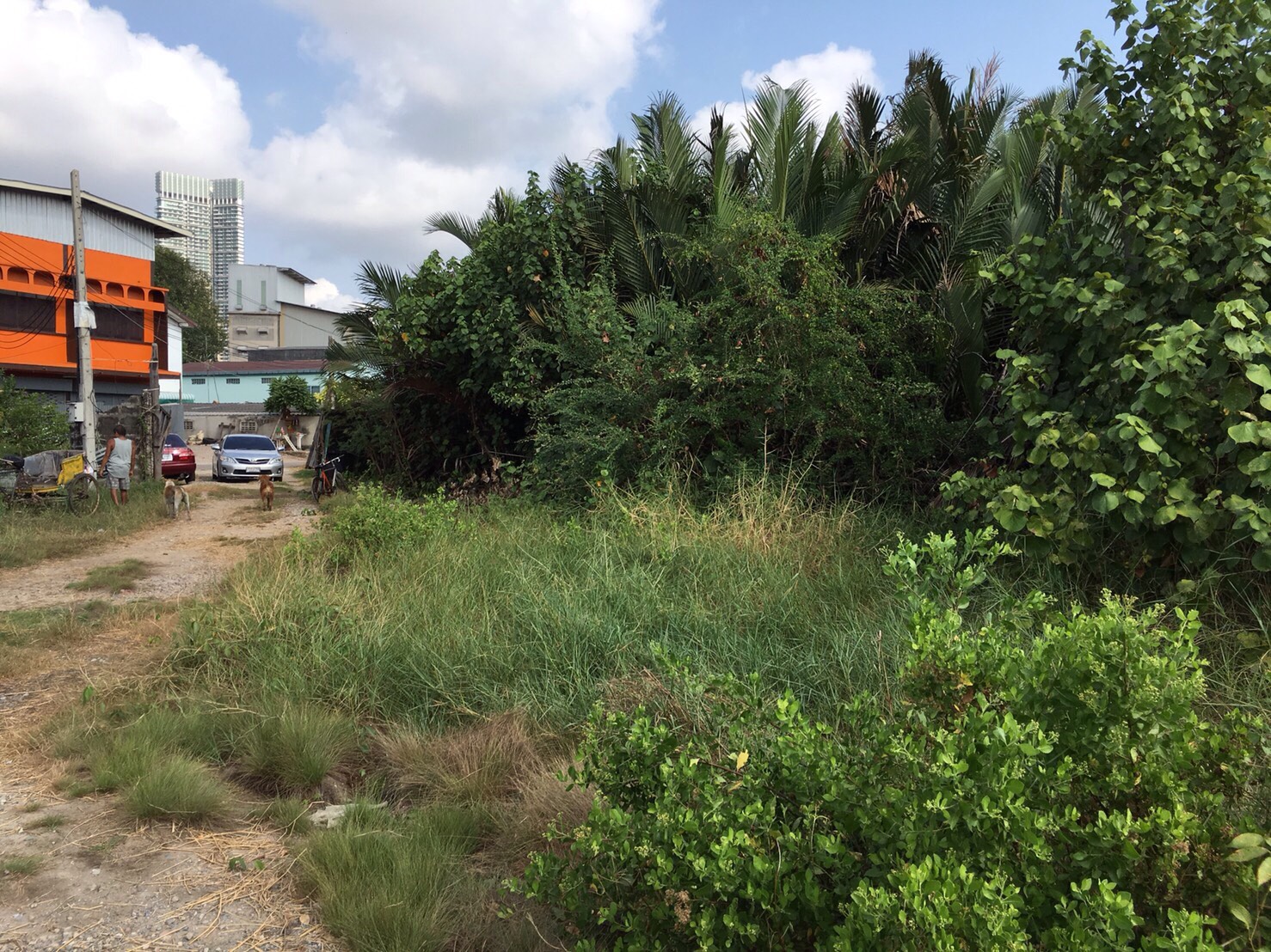 ที่ดินเปล่า7ไร่ติดเเม่น้ำเจ้าพระยา พระประแดงสมุทรปราการ