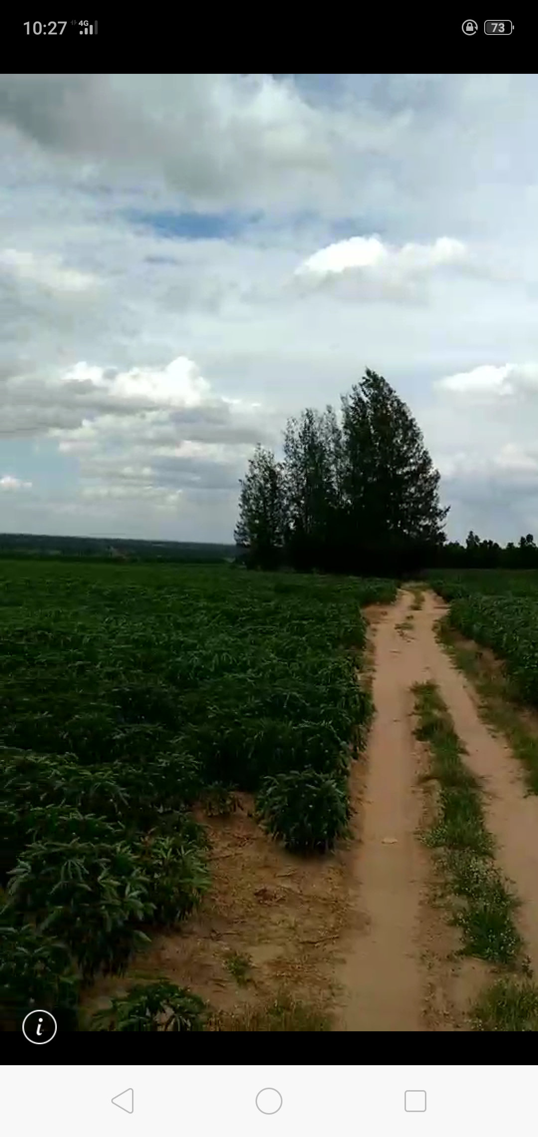 ขาย-ที่ดินเปล่ จำนวน888ไร่ ต.ตะขบ อ.ปักธงชัย จ.นครราชสีมา