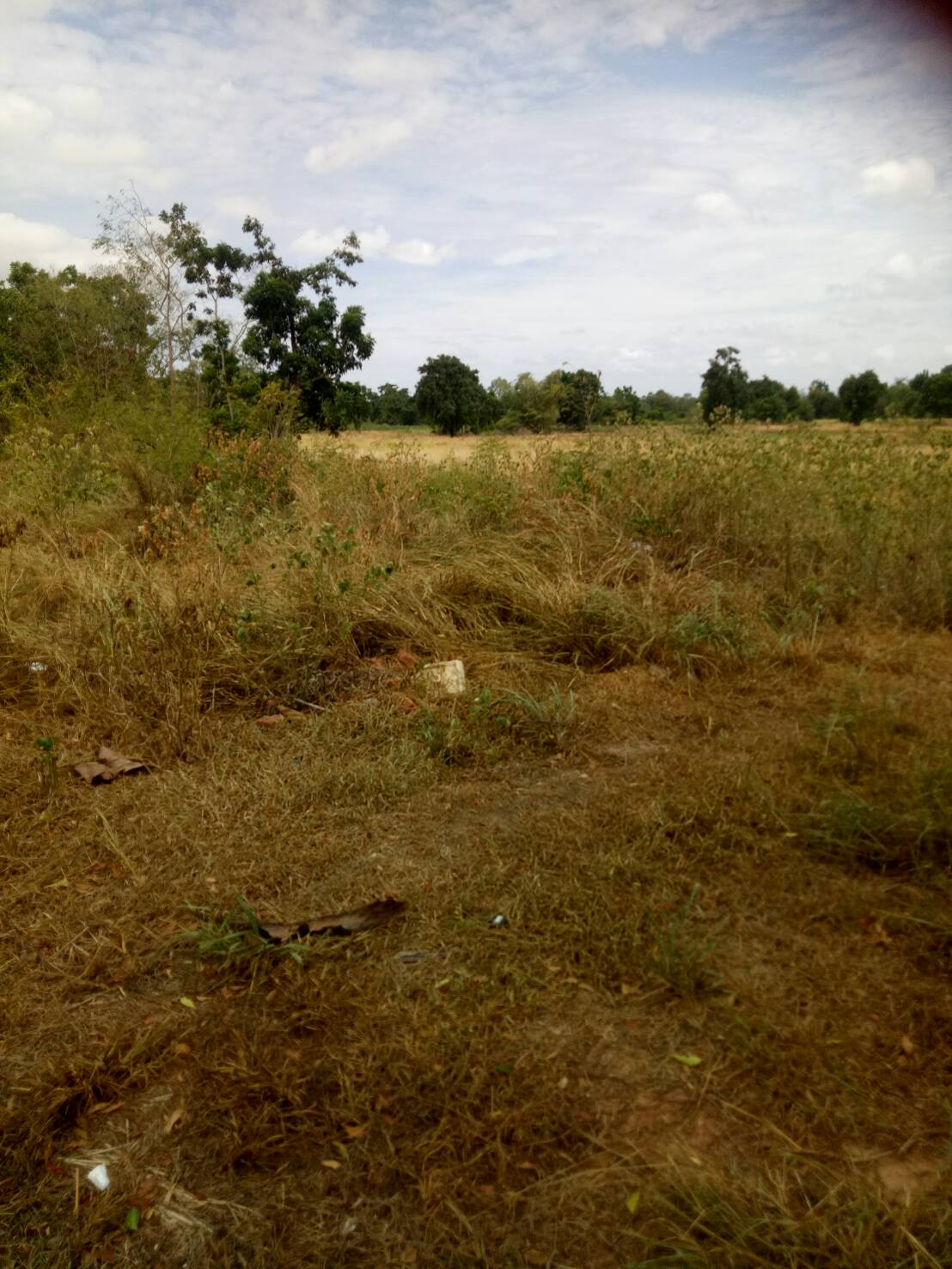 ขาย-ที่ดินเปล่า จำนวน2500ไร่ ถ กบินทร์บุรี-ปักธงชัย(304)ต.งิ้ว อ.ปักธงชัย จ.นครราชสีมา