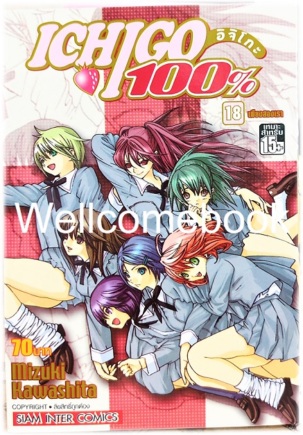Xรวมชุด "Ichigo อิจิโกะ 100% 19 เล่มจบ + Short Stories ตอนพิเศษ เล่มเดียวจบ" ~Mizuki Kawashita~