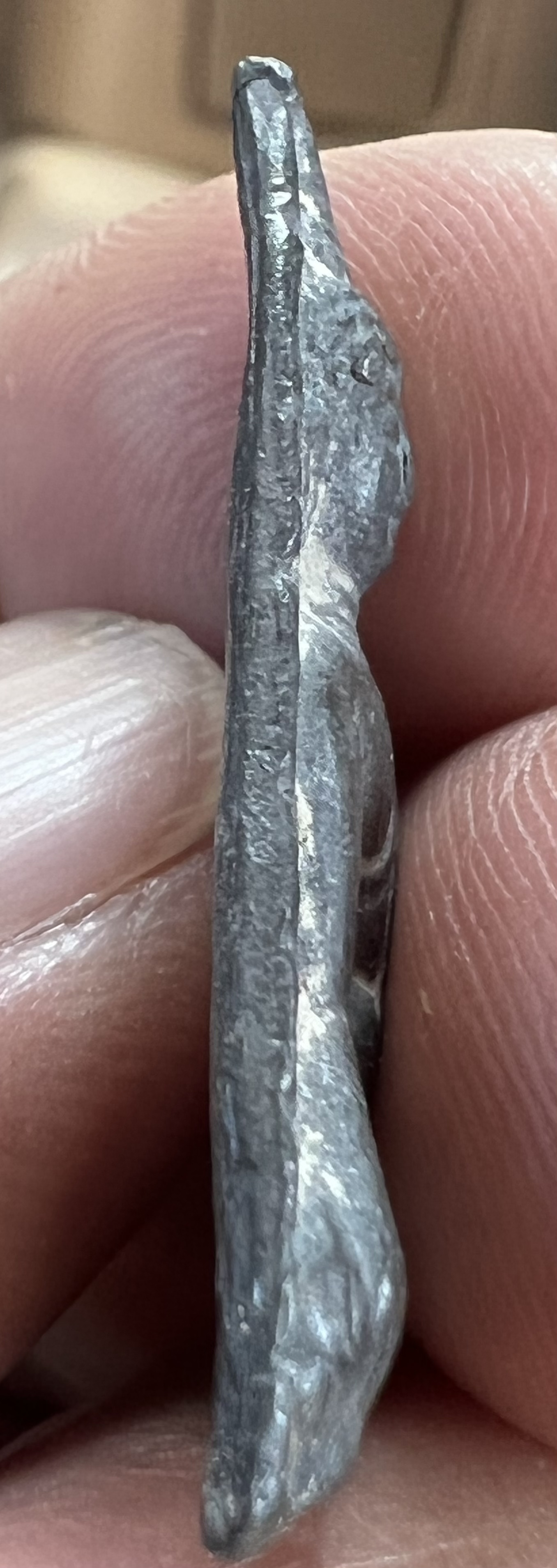 นางพญาเสน่ห์จันทร์ หลวงปู่เฮี้ยง วัดป่า จ.ชลบุรี หลังแบบ เนื้อชินตะกั่วเก่า กรุราชบุรณะ อยุธยา พ.ศ. 2502