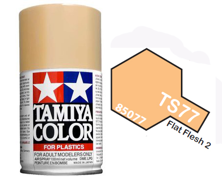 TS-77 FLAT FLESH 100ML