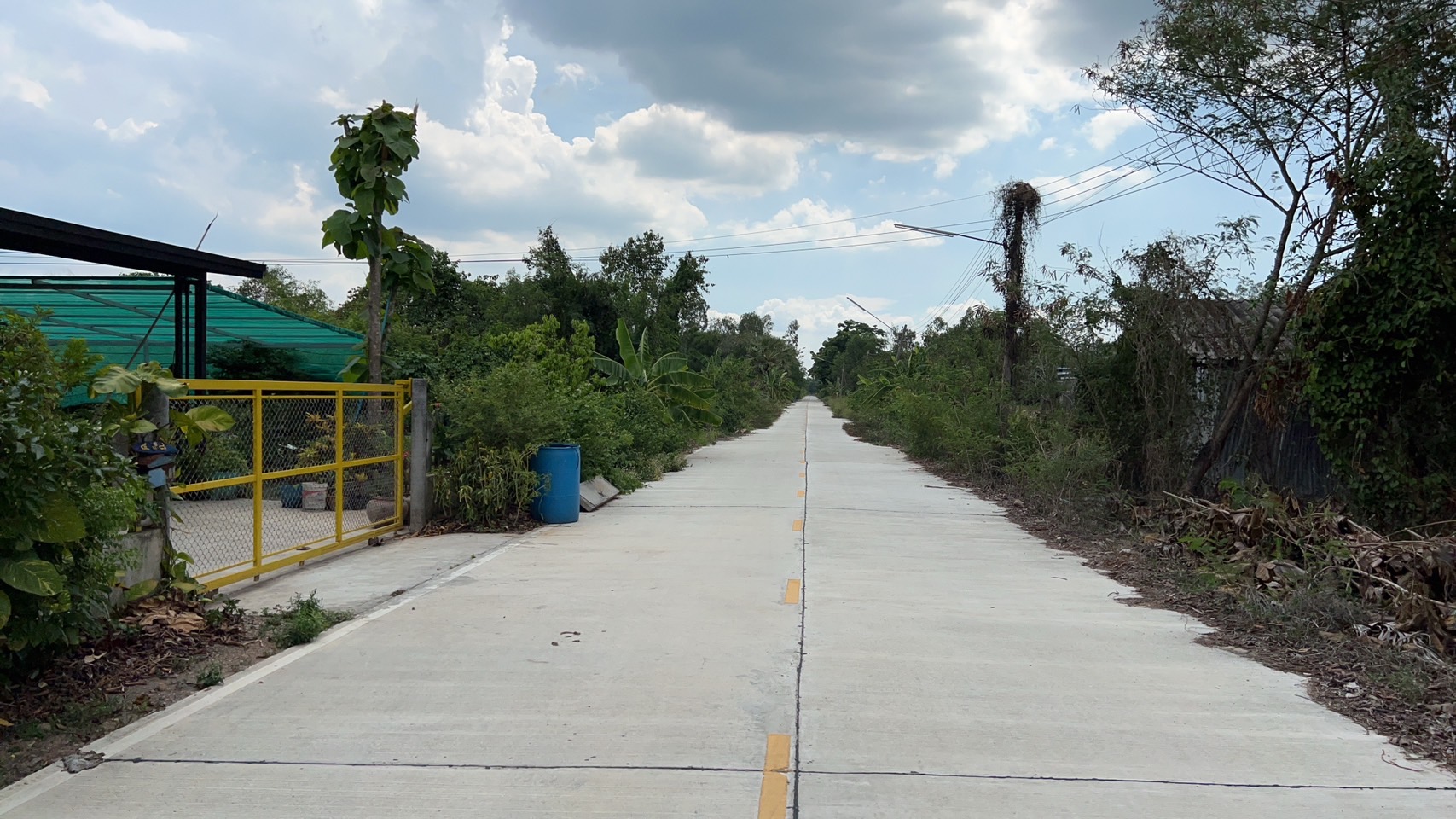 ขาย-ที่ดินเปล่าสวย คลอง12 พื้นที่ 1งาน78ตารางวา คลอง12 ซอยลำน้ำพัฒนา ต.ศาลาครุ อ.หนองเสือ จ.ปทุมธานี12170