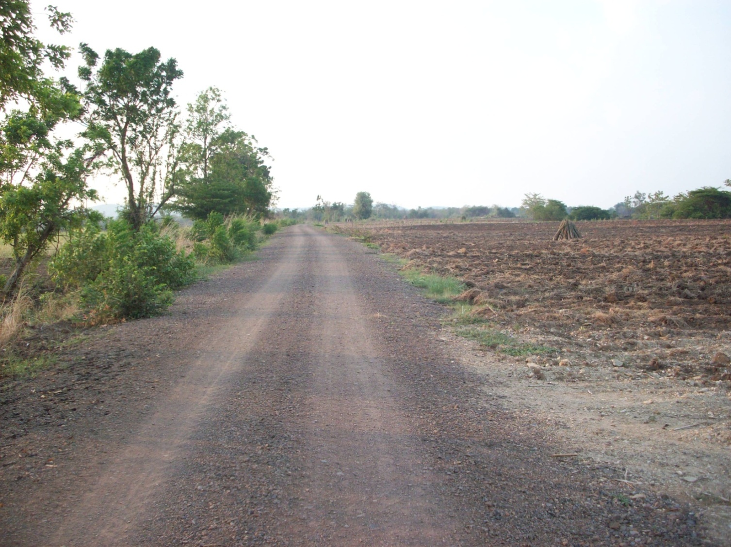 ขาย-ที่ดินเปล่า 300 ไร่ แปลงใหญ่ เจ้าของเดียว ตำบลหินซ้อน อำเภอแก่งคอย จังหวัดสระบุรี