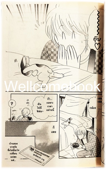 กระต่ายน้อย เซนทาโร่ เล่มเดียวจบ ~Nunoura Tsubasa~