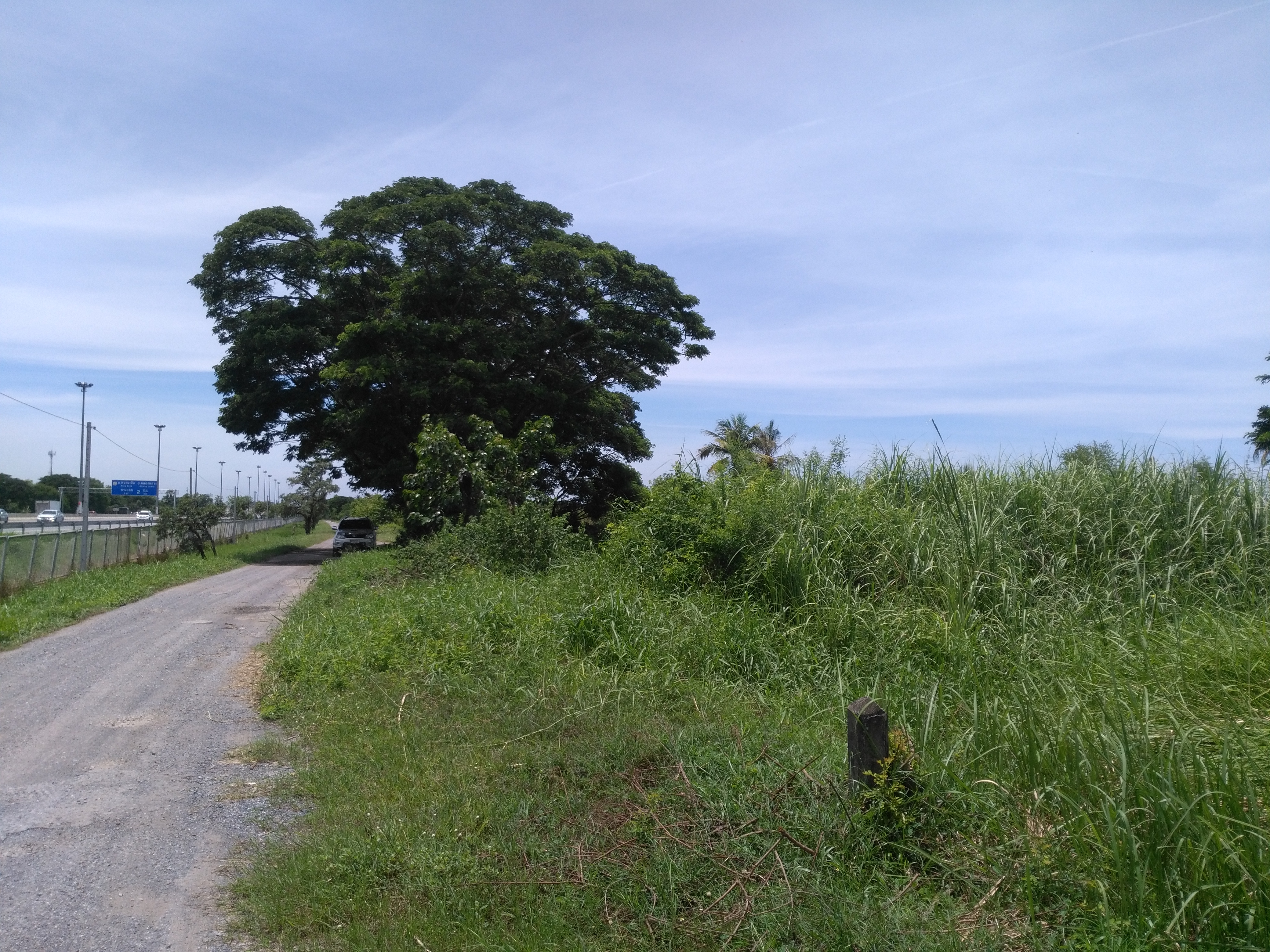 ที่ดินเปล่า10ไร่ติดมอร์เตอร์เวย์ขาออกคลองหลวง