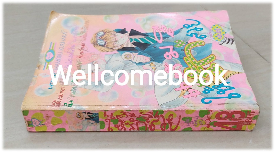 แต้มสีให้รักสวย เล่มเดียวจบ ~Mamoru Kurihara~