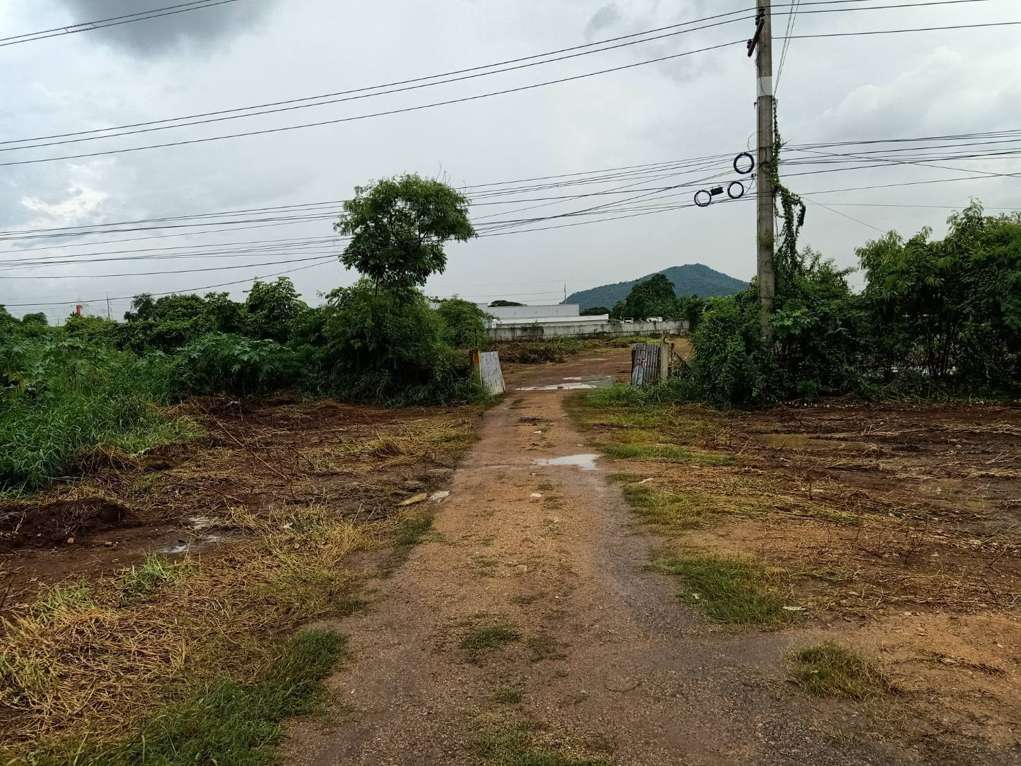 ขาย-ที่ดินเปล่า17ไร่ ติดถนนมิตรภาพ ต.แก่งคอย อ.แก่งคอย จ.สระบุรี