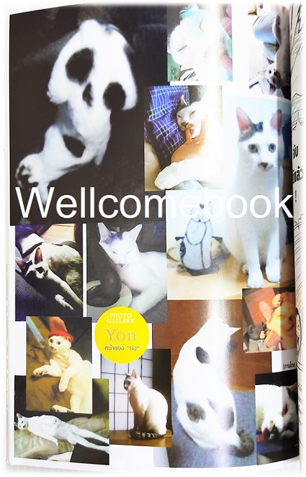 YON & MU บันทึกน้องเหมียวของอิโต จุนจิ (พิมพ์ใหม่) เล่มเดียวจบ ~Ito Junji~