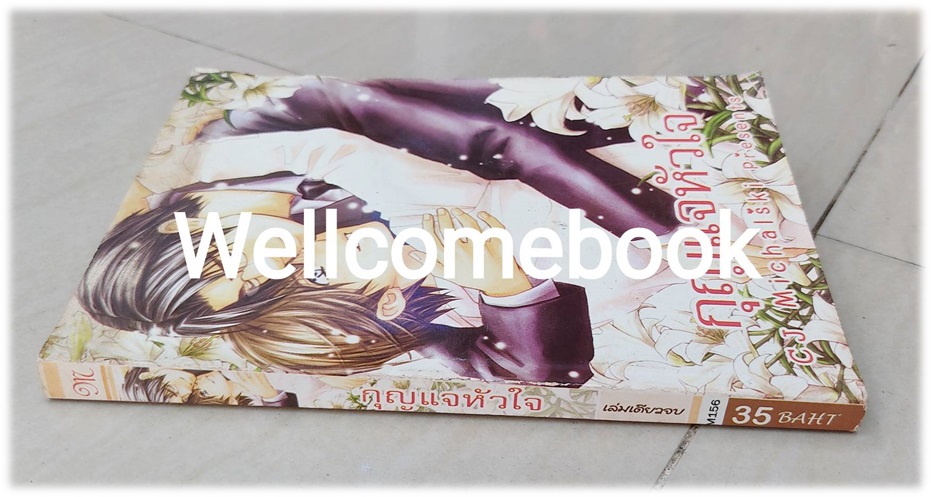 กุญแจหัวใจ เล่มเดียวจบ ~Michaski~