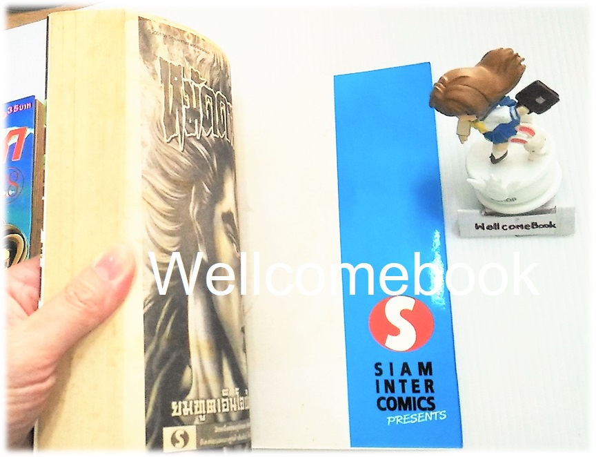 รวมชุด "ตะวันรักที่ปลายฟ้า" 28 เล่มจบ ~Shinohara Chie~