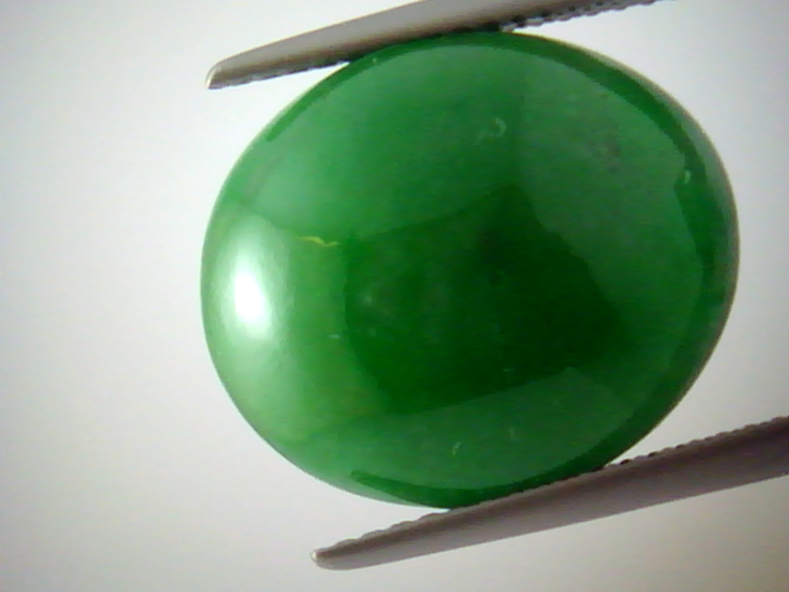 หยกพม่า 22.50 CTS (หยกหลังเบี้ย)