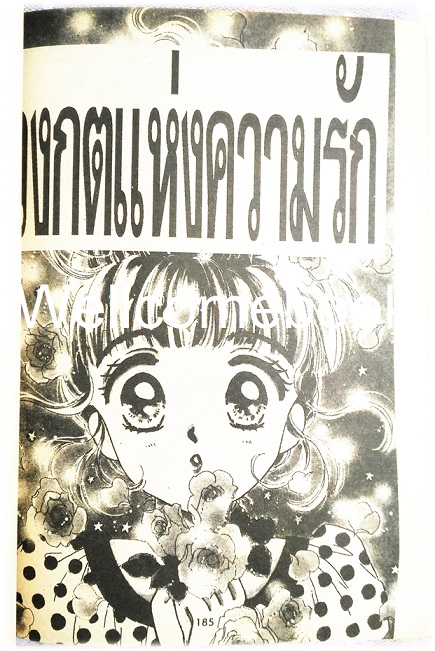 บอดี้การ์ดหลงยุค เล่มเดียวจบ ~Emiko Sugi~