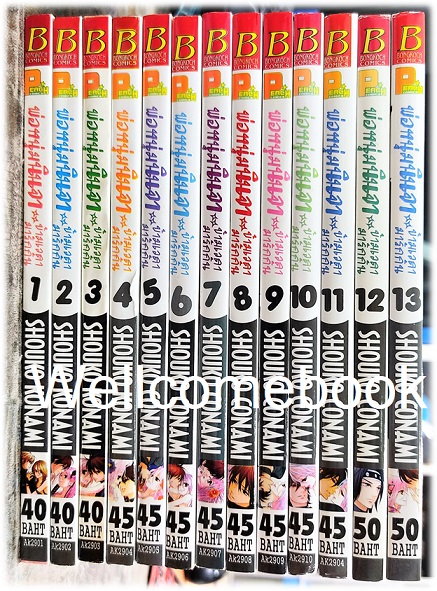 รวมชุด "พ่อหนุ่มนินจา ข้ามเวลามารักกัน" 13 เล่มจบ ~SHOUKO CONAMI~