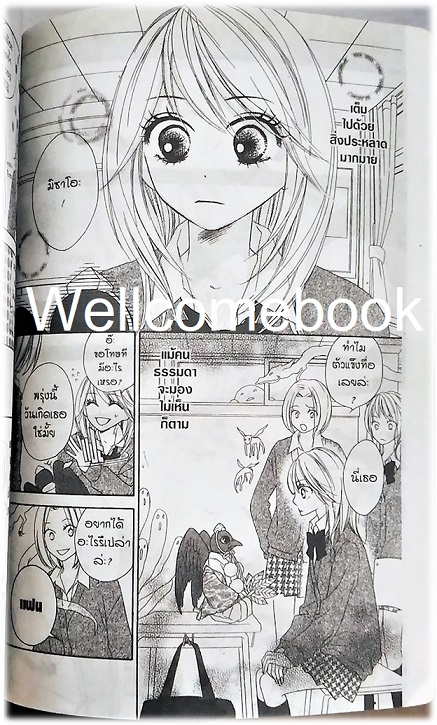 รวมชุด "Black Bird 18 เล่มจบ + นิยาย Black Bird -Missing- เล่มเดียวจบ" ~Sakurakouji Kanoko~