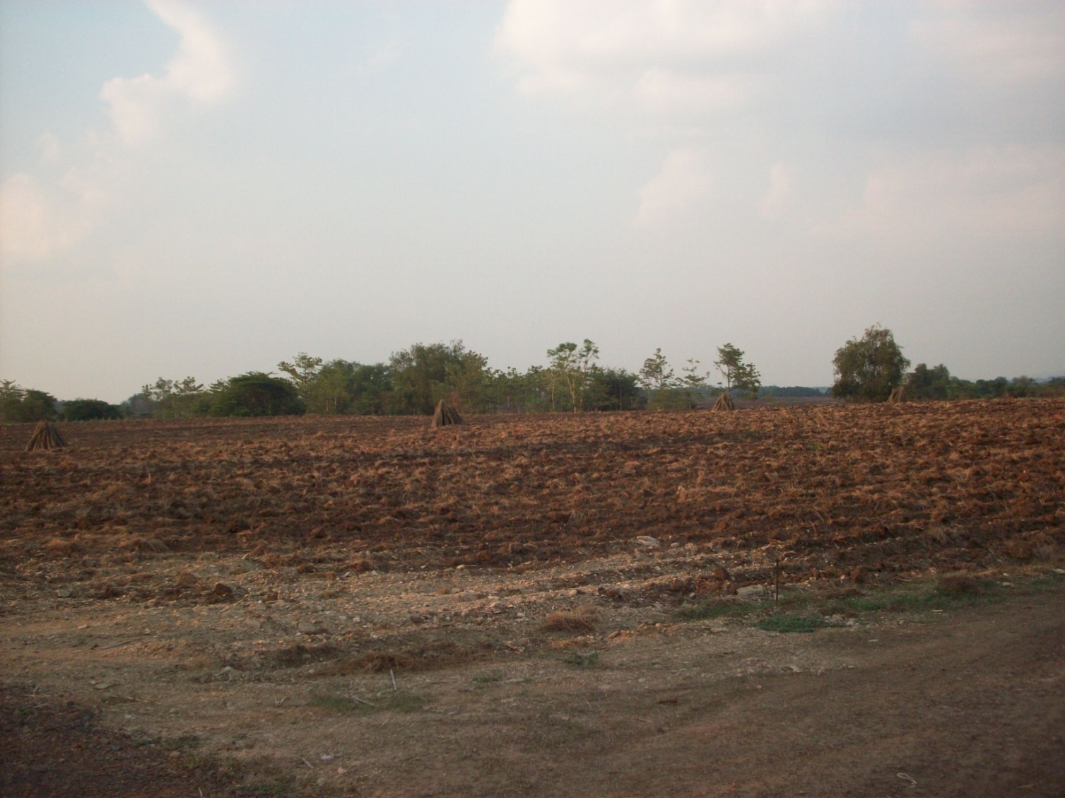 ขาย-ที่ดินเปล่า 300 ไร่ แปลงใหญ่ เจ้าของเดียว ตำบลหินซ้อน อำเภอแก่งคอย จังหวัดสระบุรี