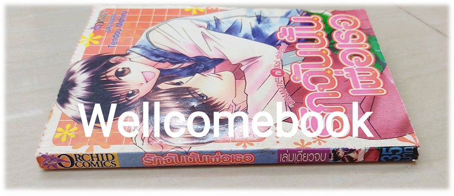 Dramatic ni Koi shiteru? รักฉันนั้นเพื่่อเธอ เล่มเดียวจบ ~Tendou Mahiru~