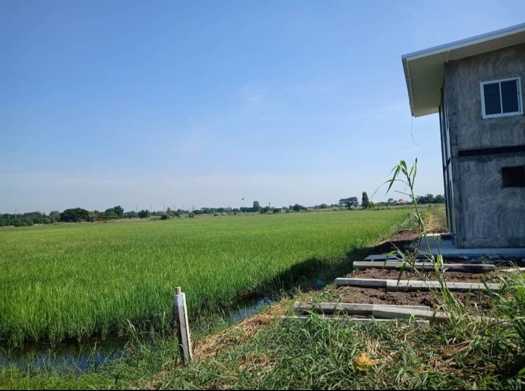 ขาย-ที่ดินเปล่า16ไร่ ต.เสาธงเก่า อ.บางปะหัน จ.อยุธยา