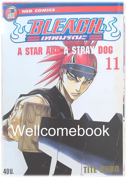 รวมชุด "BLEACH เทพมรณะ" เล่ม 1- 32 (ยังไม่จบ) ~Tite Kubo~
