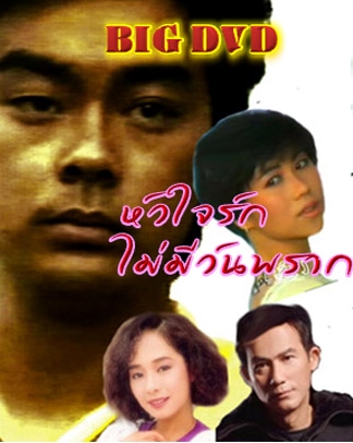 หัวใจรักไม่มีวันพราก,A World Apart,หลิวชิงหวิน 2 แผ่น