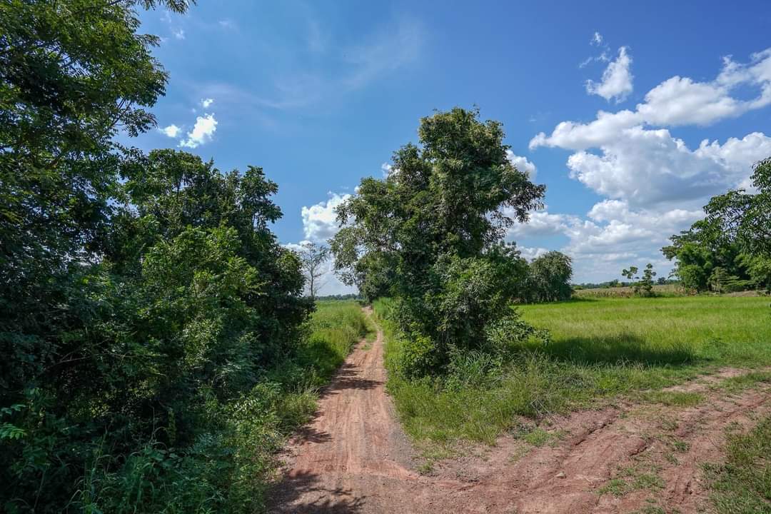 ขาย-ที่ดินเปล่าจำนวน 20 ไร่ ต.หนองจะบกอำเภอปักธงชัยจังหวัดนครราชสีมา