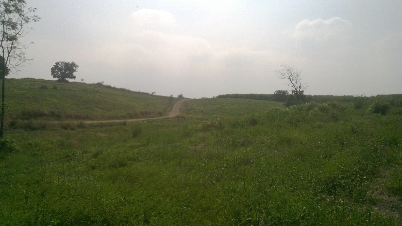 ที่ดินเปล่า230ไร่ แบ่งขายเป็นแปลงต.วังกะทะ(หมูสี )ติดวังน้ำเขียว นครราชสีมา