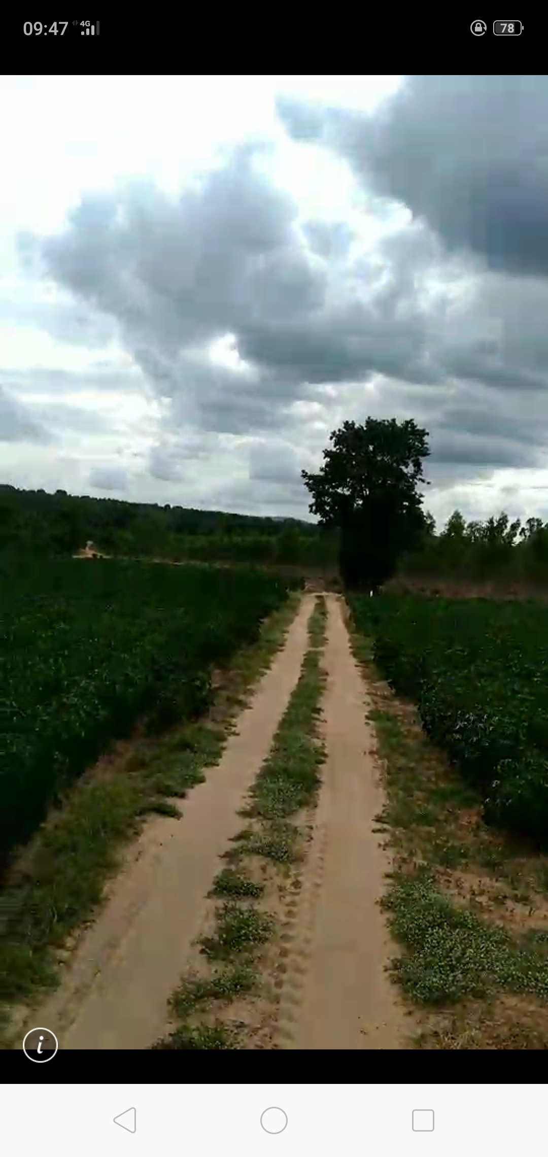 ขาย-ที่ดินเปล่ จำนวน888ไร่ ต.ตะขบ อ.ปักธงชัย จ.นครราชสีมา