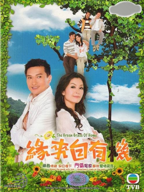 บ้านนี้ขาดรัก [The Green Grass of Home] 4 แผ่น พากษ์ไทย