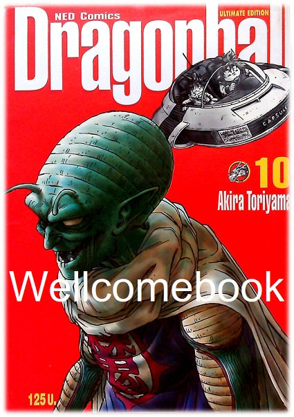 Dragon Ball ดราก้อนบอล BIG BOOK เล่ม 10 ~Toriyama Akira~