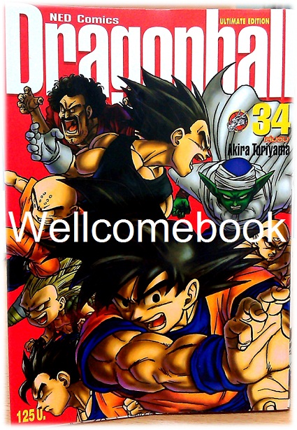 Dragon Ball ดราก้อนบอล BIG BOOK เล่ม 34 ~Toriyama Akira~