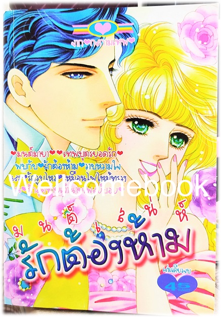 มนต์เสน่ห์รักต้องห้าม เล่มเดียวจบ