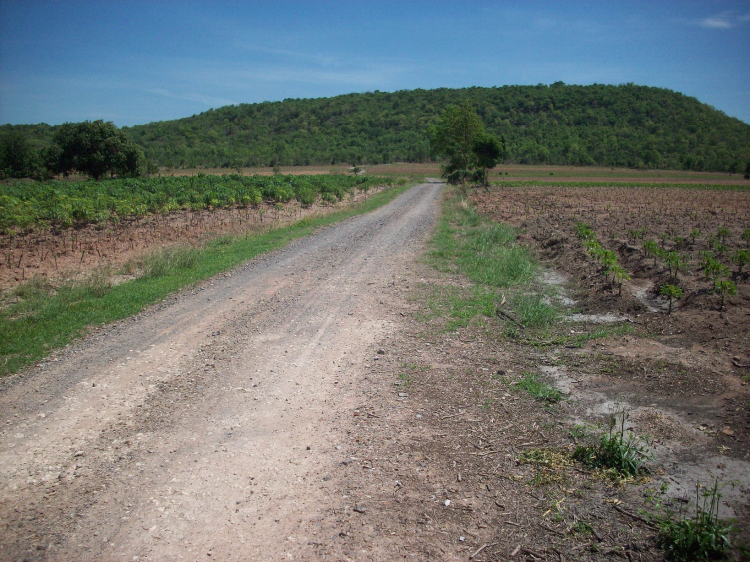 ขาย - ที่ดิน 400 ไร่ พัฒนานิคม ลพบุรี (แปลงที่1)