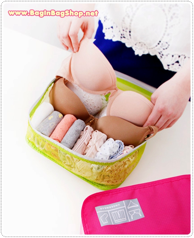 Smart System Travel Mesh Bag (Underwear)