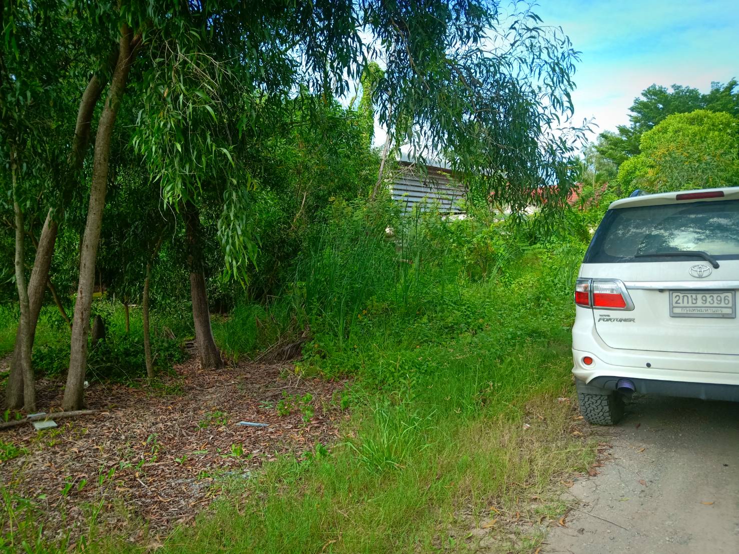 ขาย-ที่ดินเปล่า จำนวน1ไร่ ถ.เลียบคลอง5เข้าอีกฝั่งมอเตอร์เวย์ ต.บึงคำพร้อย .ลำลูกกา จ.ปทุมธานี