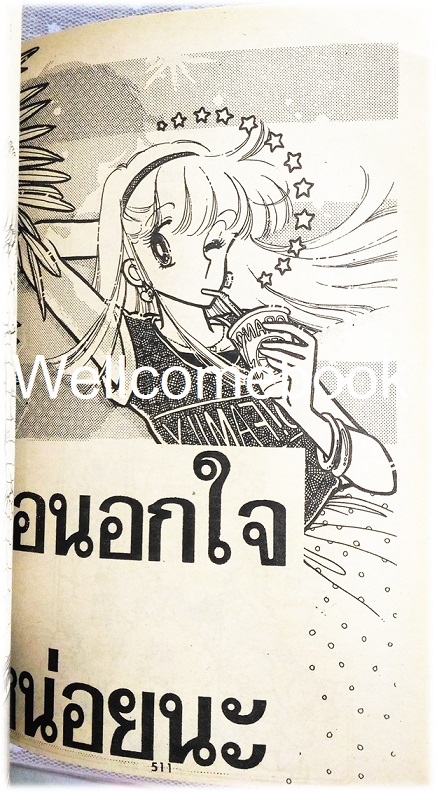 บอดี้การ์ดหลงยุค เล่มเดียวจบ ~Emiko Sugi~