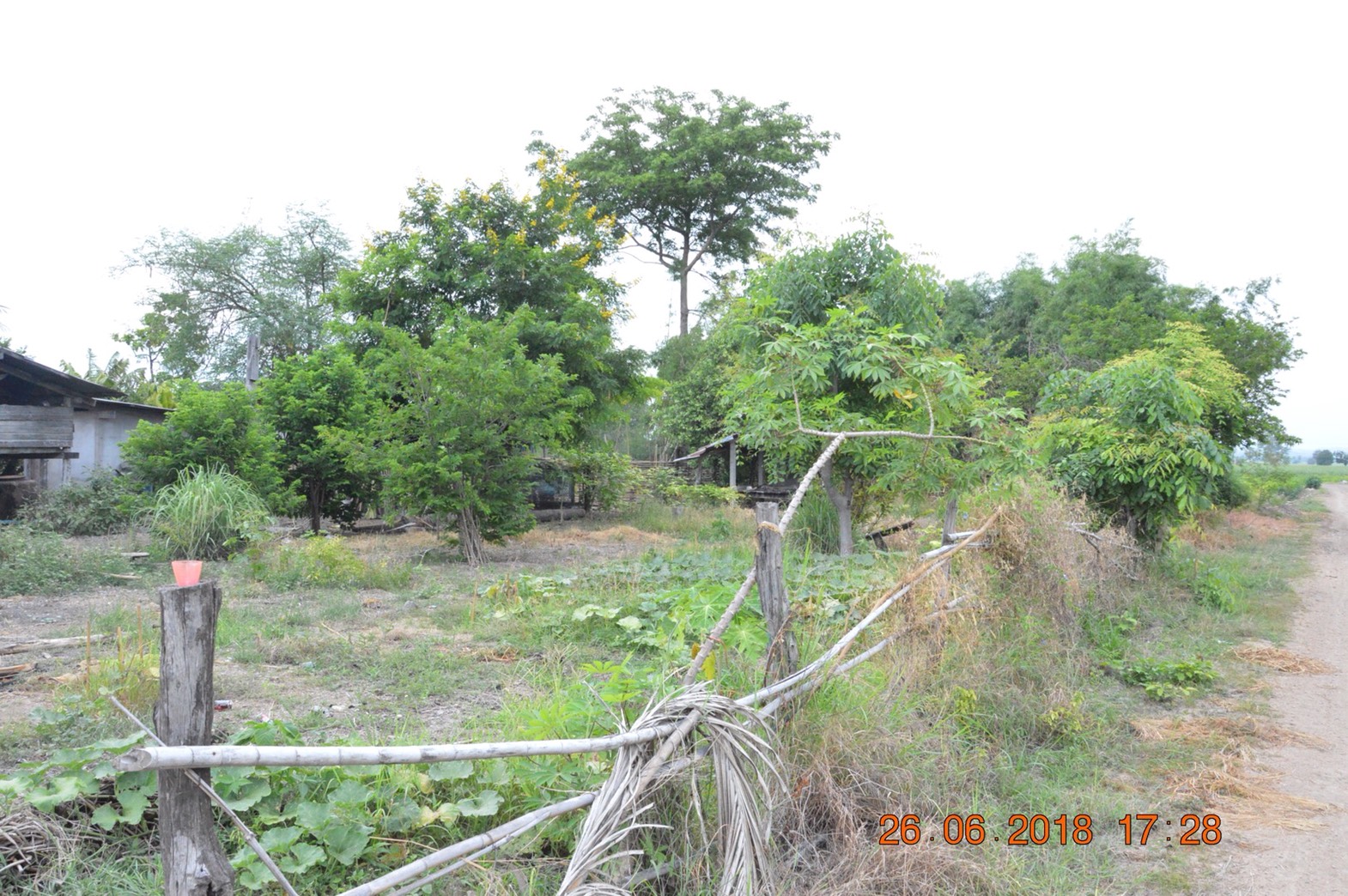 ที่ดินเปล่า จำนวน4ไร่1งาน26ตรว. ต.เขากระลา อ.พยุหะคีรี จ.นครสวรรค์