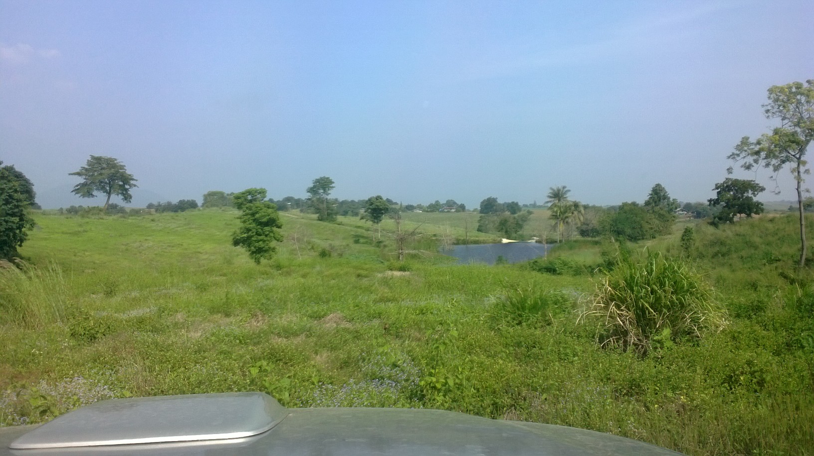 ที่ดินเปล่า230ไร่ แบ่งขายเป็นแปลงต.วังกะทะ(หมูสี )ติดวังน้ำเขียว นครราชสีมา